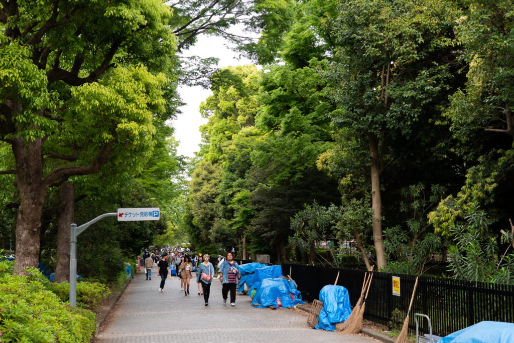 代々木公園_タイフェスティバル2019