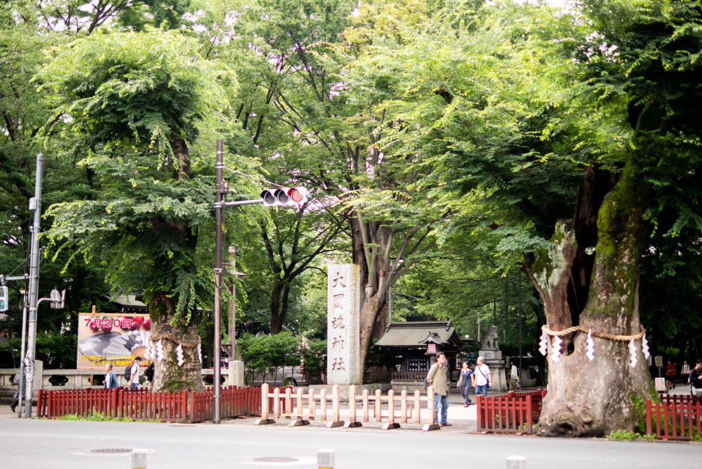 ふちゅこまーけっとは大國魂神社の目の前!